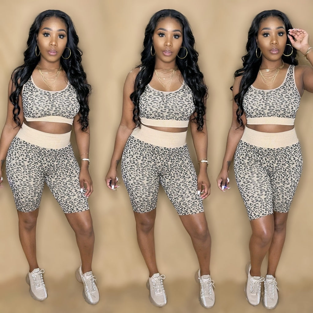 Active Set