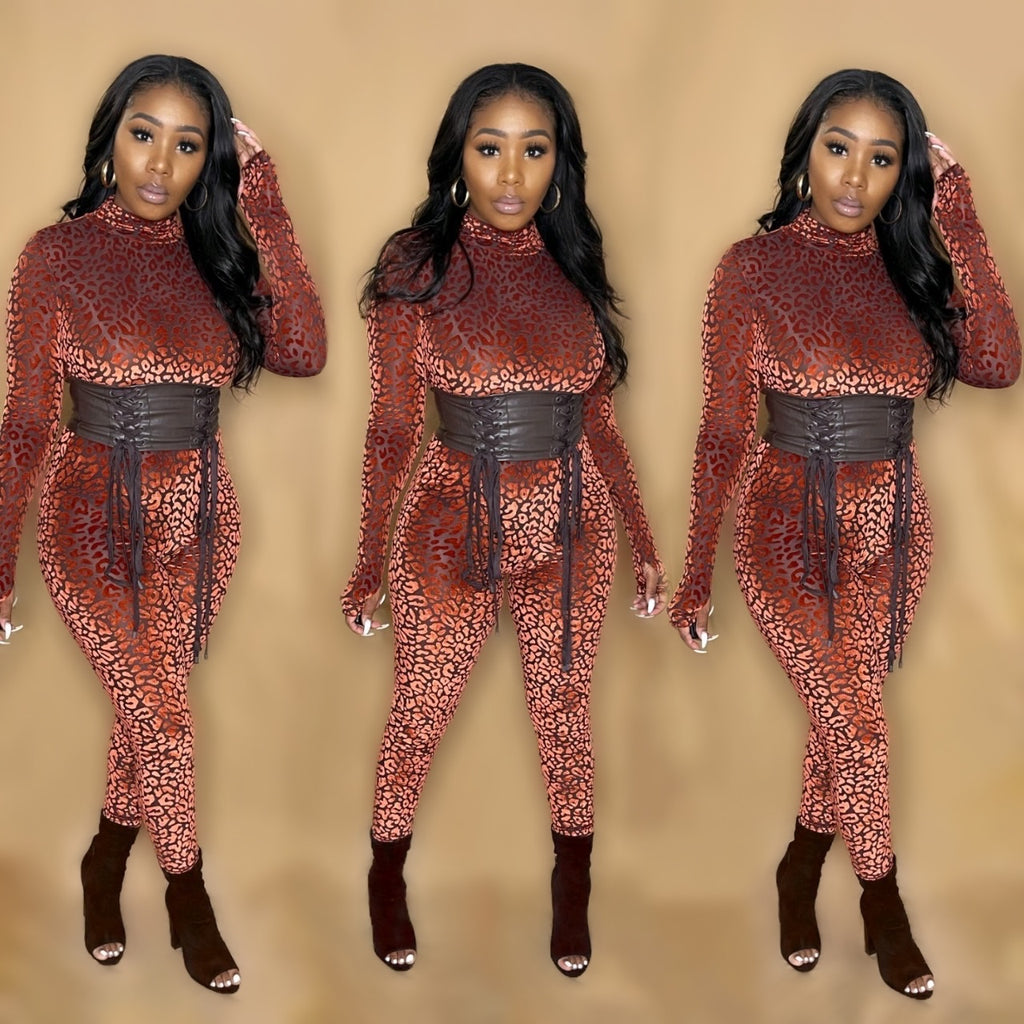 Klassy & Exotic