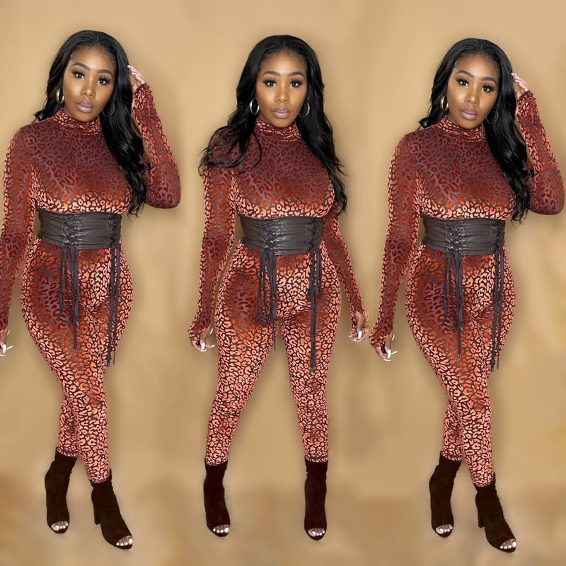 Klassy & Exotic