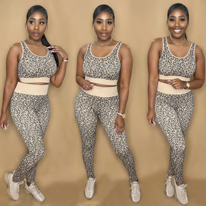 Active Set II
