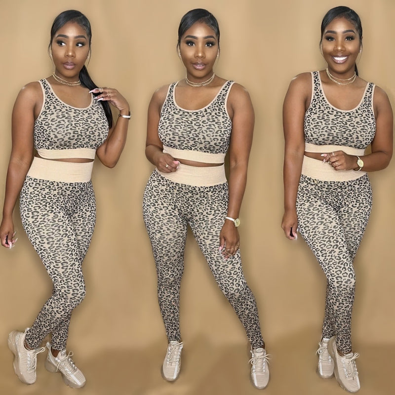Active Set II